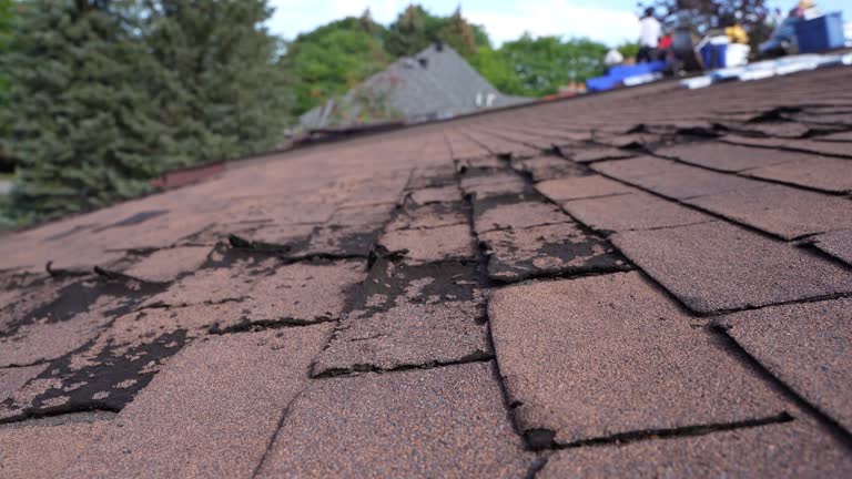 Best Gutter Installation and Repair  in Lmdale, PA